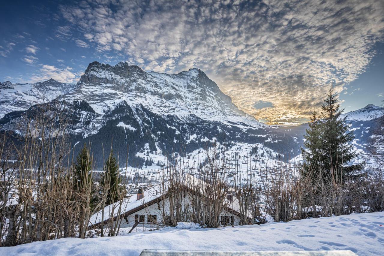Chalet Weid - Aare Jungfrau Ag Grindelwald Zewnętrze zdjęcie