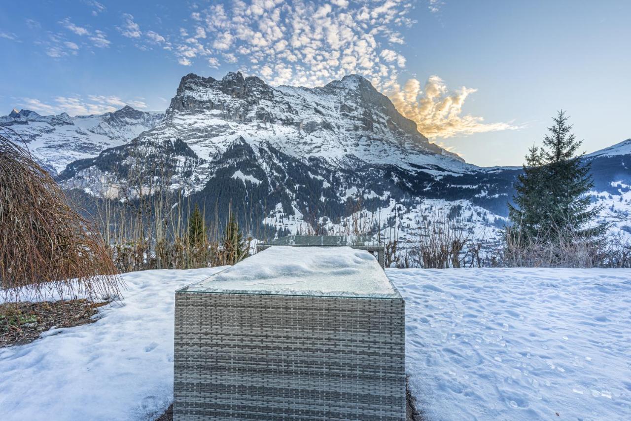 Chalet Weid - Aare Jungfrau Ag Grindelwald Zewnętrze zdjęcie