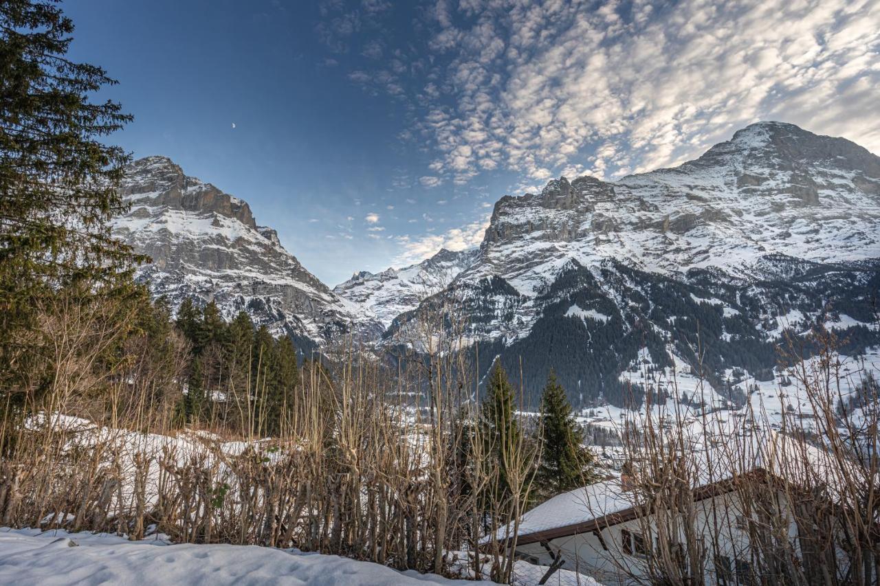 Chalet Weid - Aare Jungfrau Ag Grindelwald Zewnętrze zdjęcie